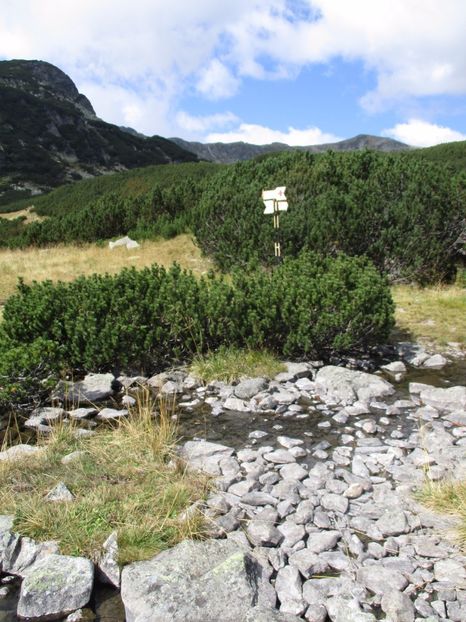  - 2017 - Obarsia Lotrului - a treia zi Galcescu apoi Oasa