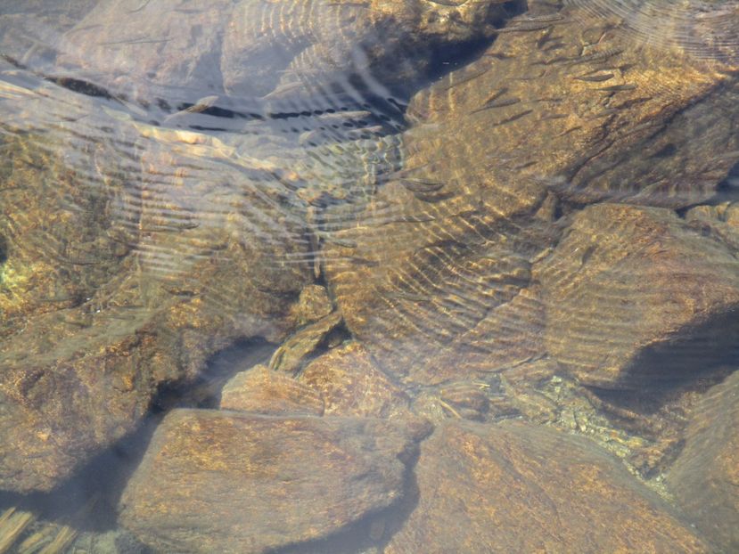  - 2017 - Obarsia Lotrului - a treia zi Galcescu apoi Oasa