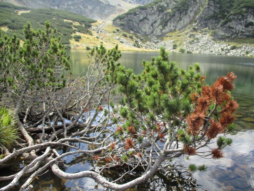  - 2017 - Obarsia Lotrului - a treia zi Galcescu apoi Oasa