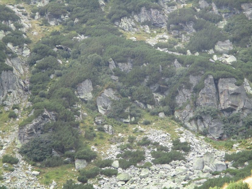  - 2017 - Obarsia Lotrului - a treia zi Galcescu apoi Oasa