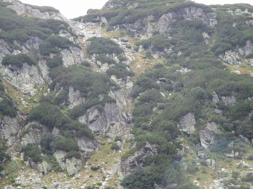  - 2017 - Obarsia Lotrului - a treia zi Galcescu apoi Oasa