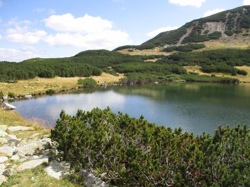  - 2017 - Obarsia Lotrului - a treia zi Galcescu apoi Oasa