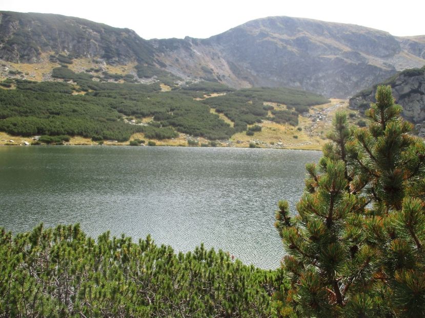  - 2017 - Obarsia Lotrului - a treia zi Galcescu apoi Oasa