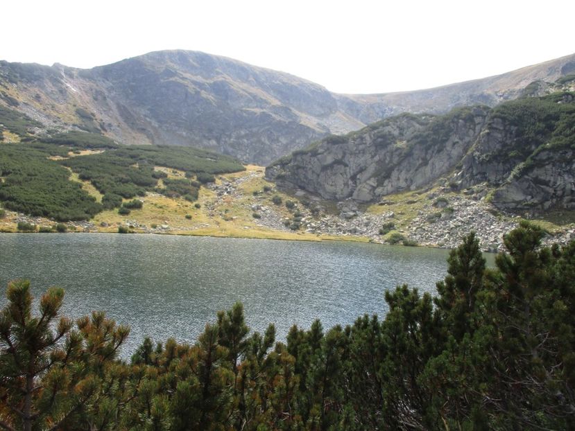  - 2017 - Obarsia Lotrului - a treia zi Galcescu apoi Oasa