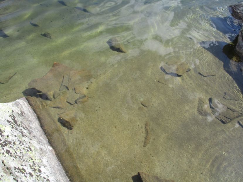  - 2017 - Obarsia Lotrului - a treia zi Galcescu apoi Oasa