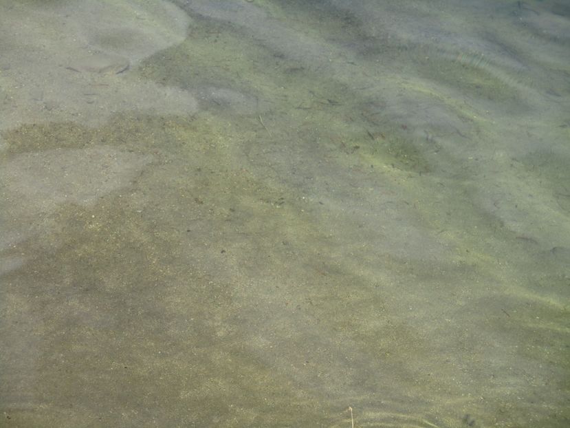  - 2017 - Obarsia Lotrului - a treia zi Galcescu apoi Oasa