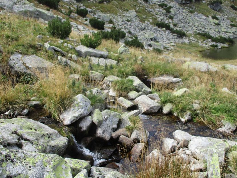  - 2017 - Obarsia Lotrului - a treia zi Galcescu apoi Oasa