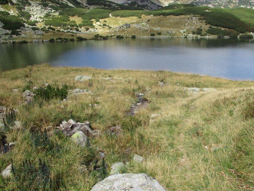  - 2017 - Obarsia Lotrului - a treia zi Galcescu apoi Oasa