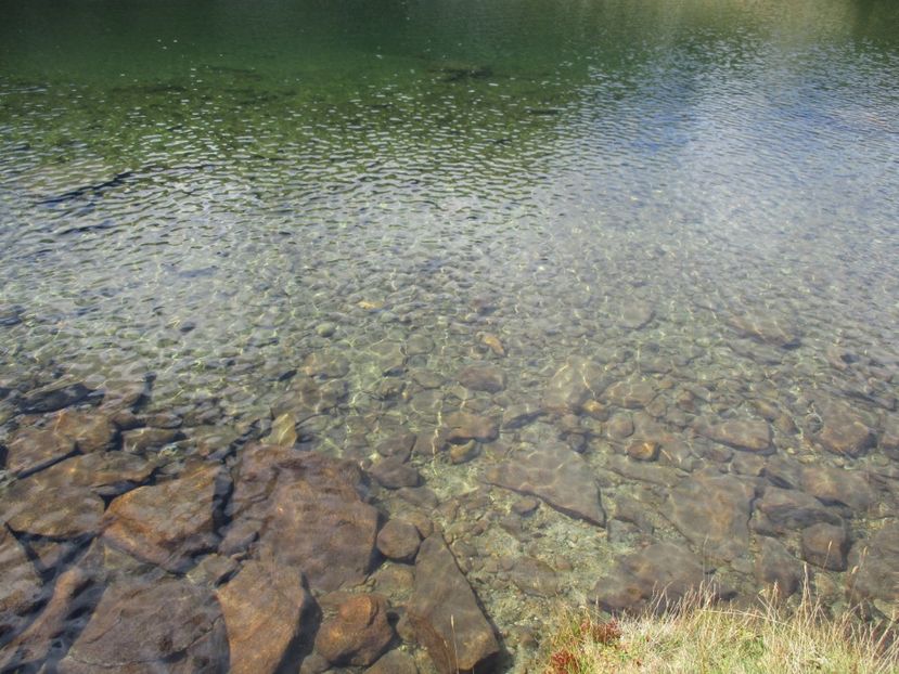  - 2017 - Obarsia Lotrului - a treia zi Galcescu apoi Oasa
