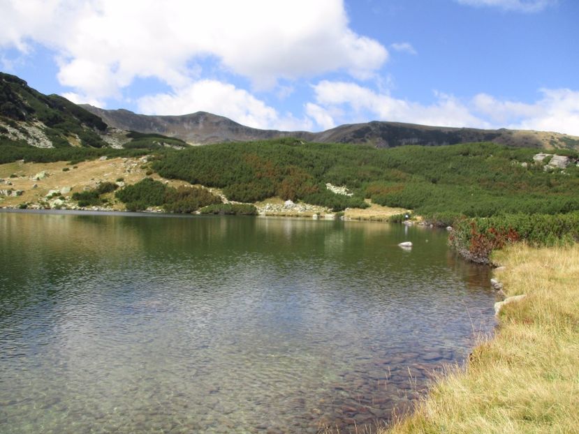  - 2017 - Obarsia Lotrului - a treia zi Galcescu apoi Oasa