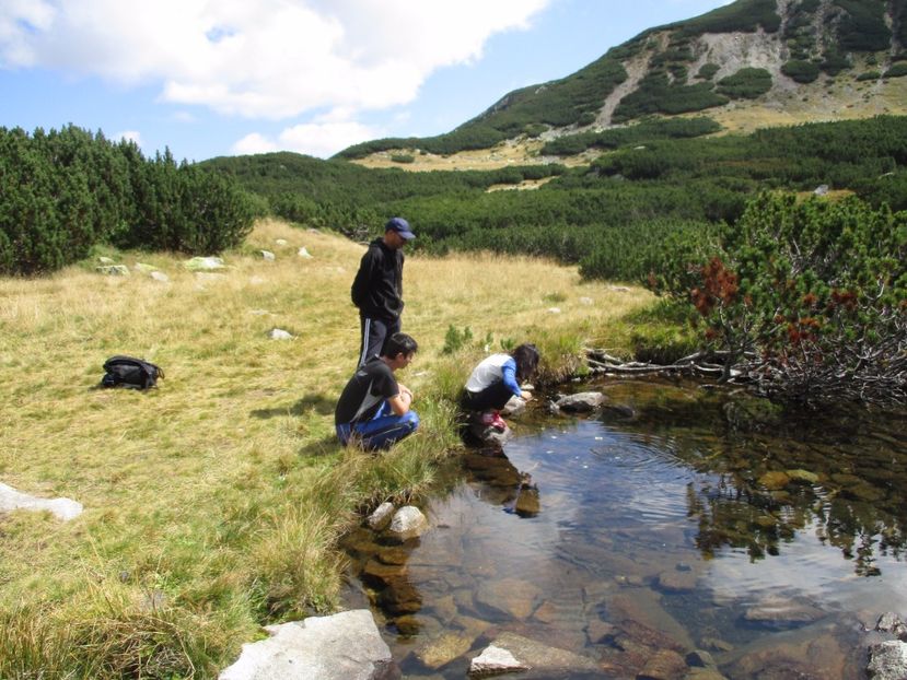  - 2017 - Obarsia Lotrului - a treia zi Galcescu apoi Oasa