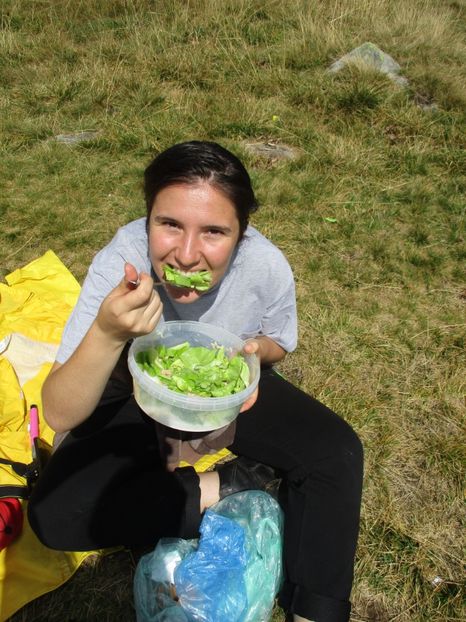  - 2017 - Obarsia Lotrului - a treia zi Galcescu apoi Oasa