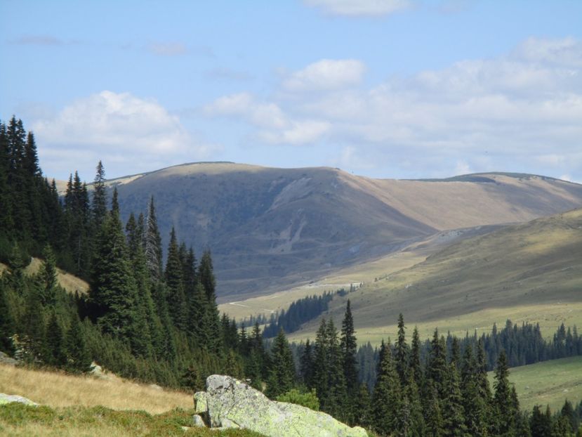 - 2017 - Obarsia Lotrului - a treia zi Galcescu apoi Oasa