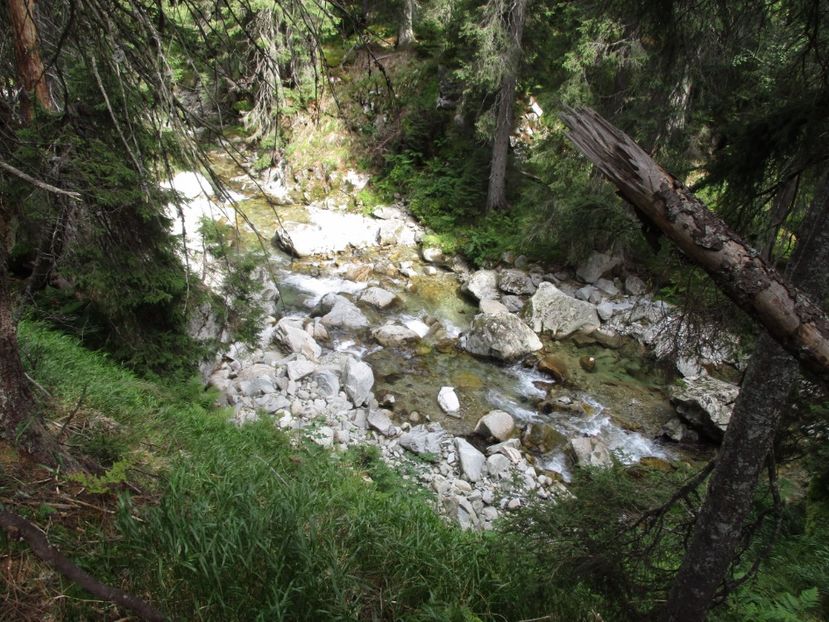  - 2017 - Obarsia Lotrului - a treia zi Galcescu apoi Oasa