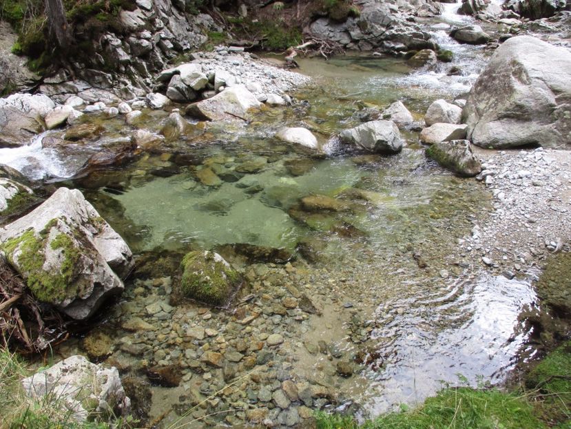  - 2017 - Obarsia Lotrului - a treia zi Galcescu apoi Oasa