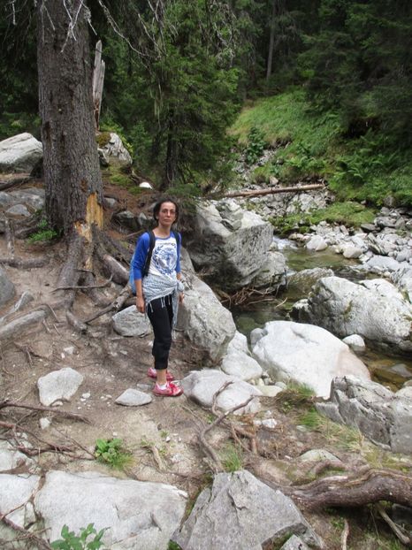  - 2017 - Obarsia Lotrului - a treia zi Galcescu apoi Oasa