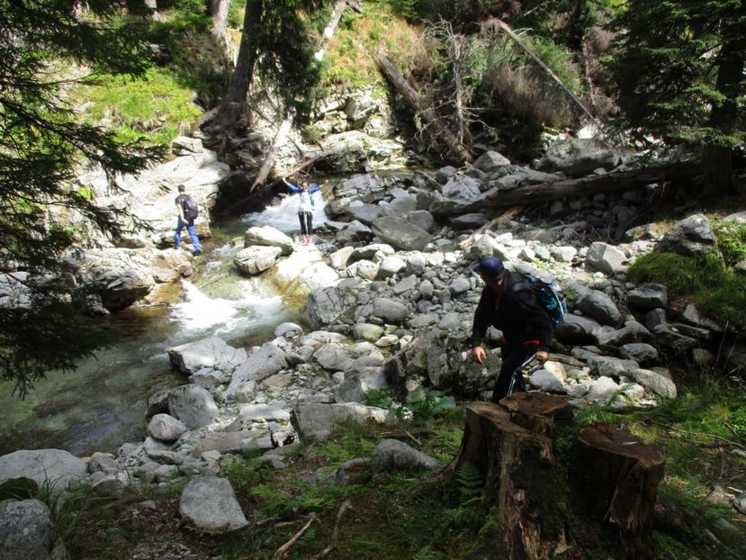  - 2017 - Obarsia Lotrului - a treia zi Galcescu apoi Oasa