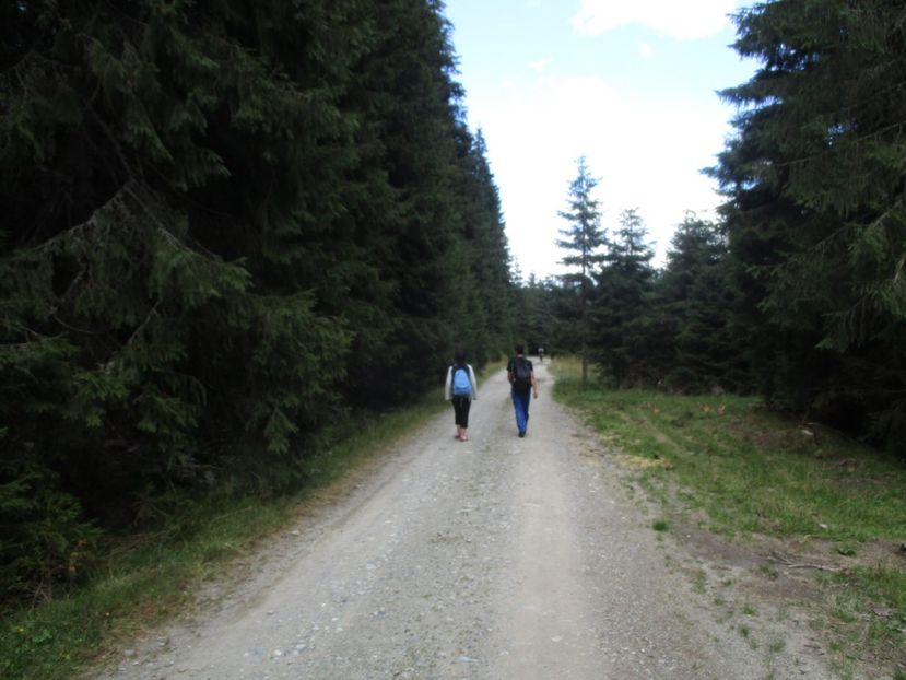  - 2017 - Obarsia Lotrului - a treia zi Galcescu apoi Oasa