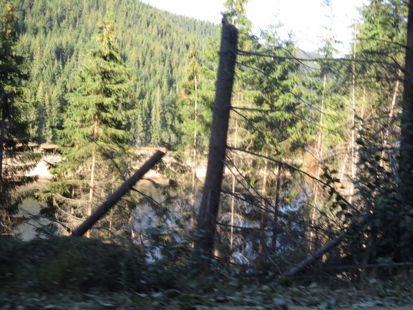  - 2017 - Obarsia Lotrului - a treia zi Galcescu apoi Oasa