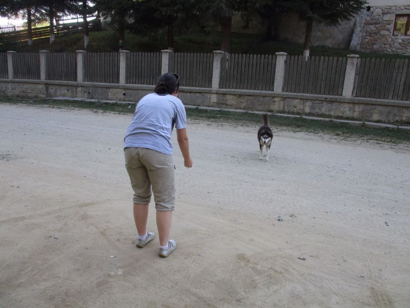  - 2017 - Obarsia Lotrului - a treia zi Galcescu apoi Oasa