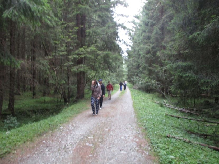  - 2017 -Obarsia Lotrului - a doua zi - traseul cu Refugiul Agatat