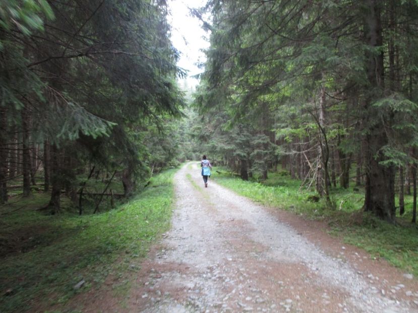  - 2017 -Obarsia Lotrului - a doua zi - traseul cu Refugiul Agatat