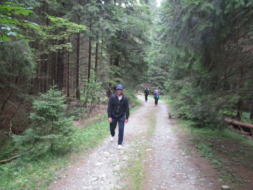  - 2017 -Obarsia Lotrului - a doua zi - traseul cu Refugiul Agatat