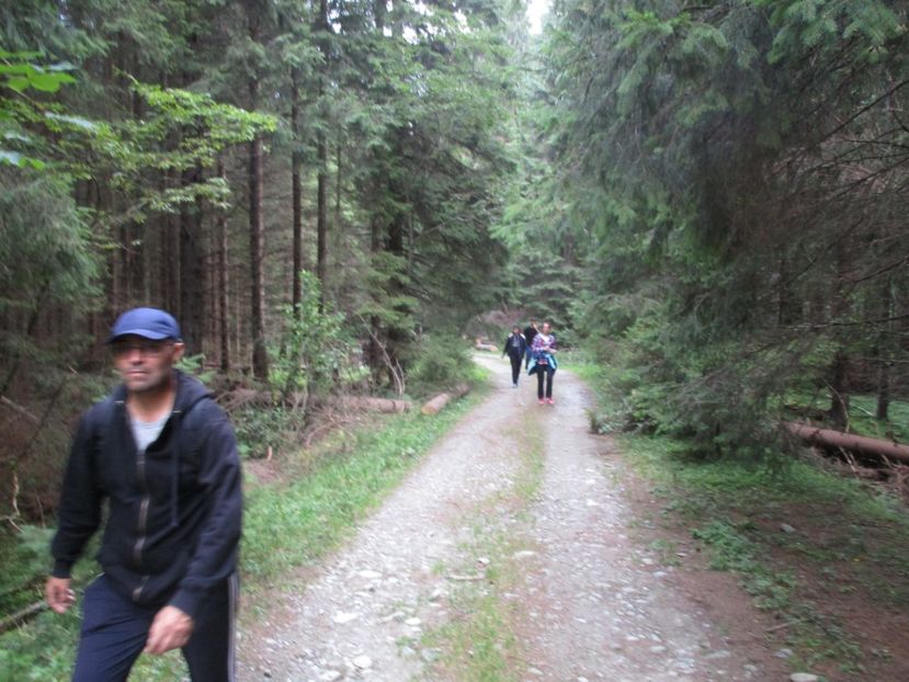  - 2017 -Obarsia Lotrului - a doua zi - traseul cu Refugiul Agatat