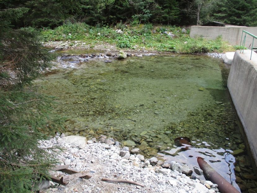  - 2017 -Obarsia Lotrului - a doua zi - traseul cu Refugiul Agatat