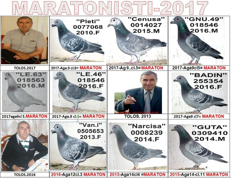 TOP 2017 - 2-2015 MARATONISTI