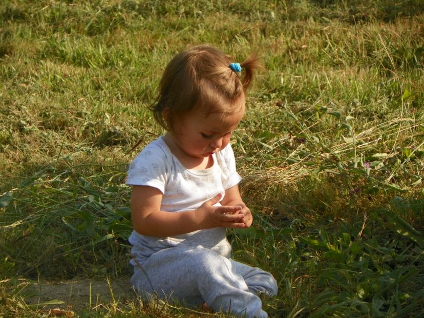 2 sept (178) - Dobarland 2017 2