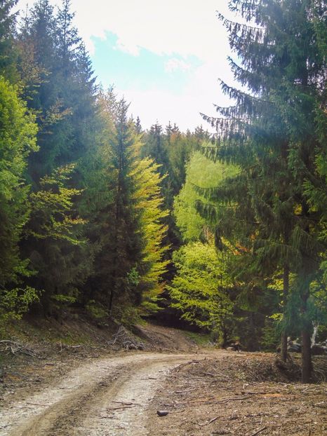  - Photo 03