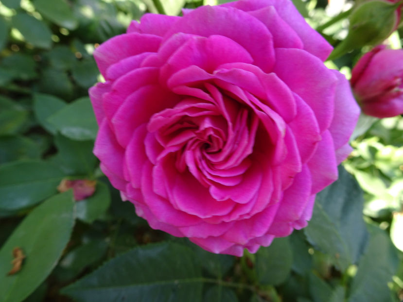 3 sept - Claire Marshall