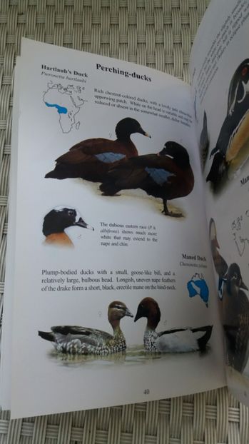  - Literatura ornitologie