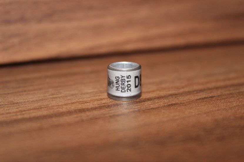 HUNG 2O15 DERBY - UNGARIA