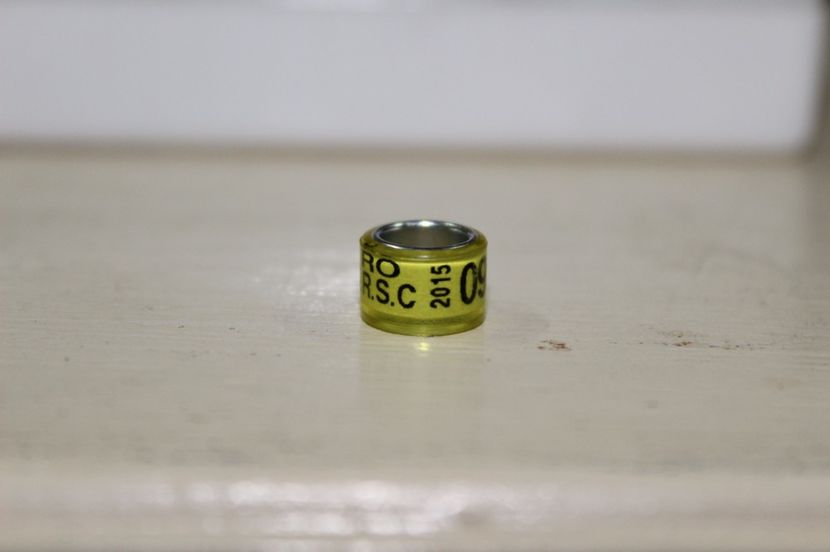 RO  F.R.S.C  2O15   11  BUC - INELE PENTRU SCHIMB csere gyuru