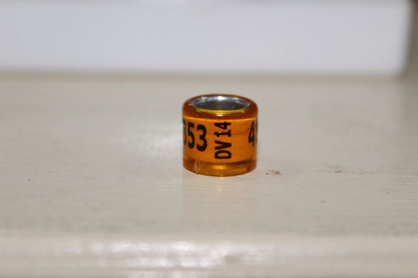 DV 2O14   22  buc - INELE PENTRU SCHIMB csere gyuru