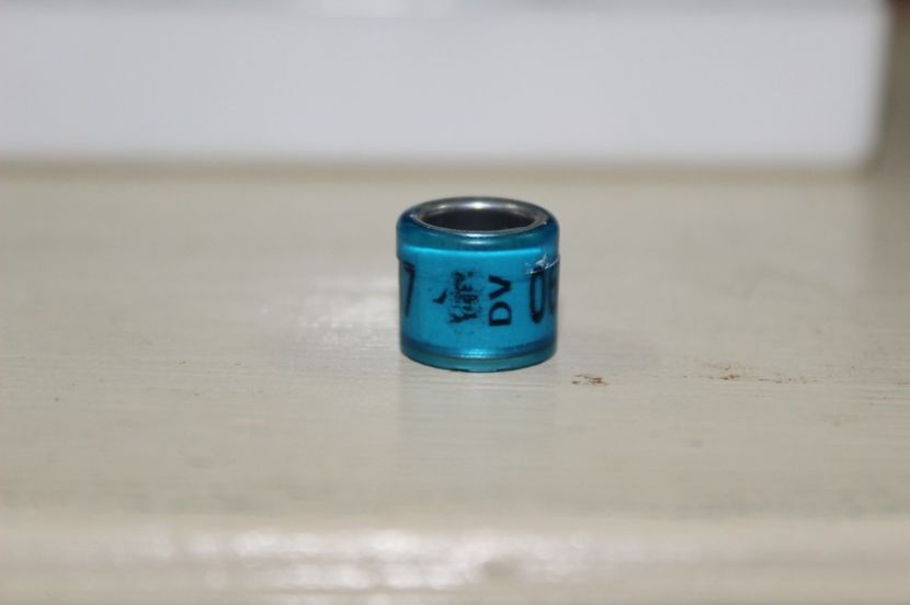 DV 16 - INELE PENTRU SCHIMB csere gyuru