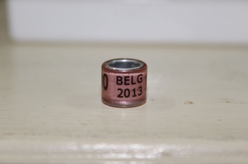 BELG 2013 - INELE PENTRU SCHIMB csere gyuru