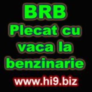 BRB_Pkecat_cu_vaca_la_benzinarie - AVATARE