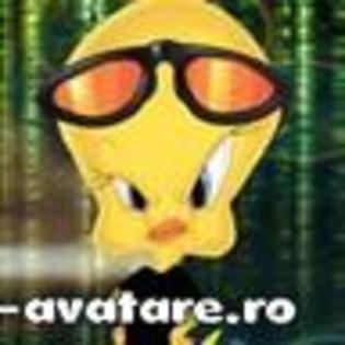 e-avatare_ro_2317 - AVATARE