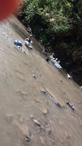 21363175_356813358074480_1917343471_o - ARHIVA Rate mute - lesesti