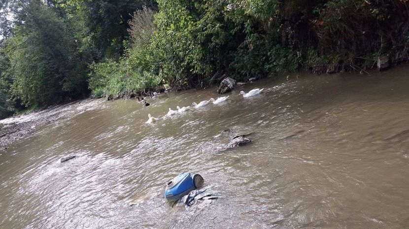 21363330_356813194741163_454962944_o - ARHIVA Rate mute - lesesti