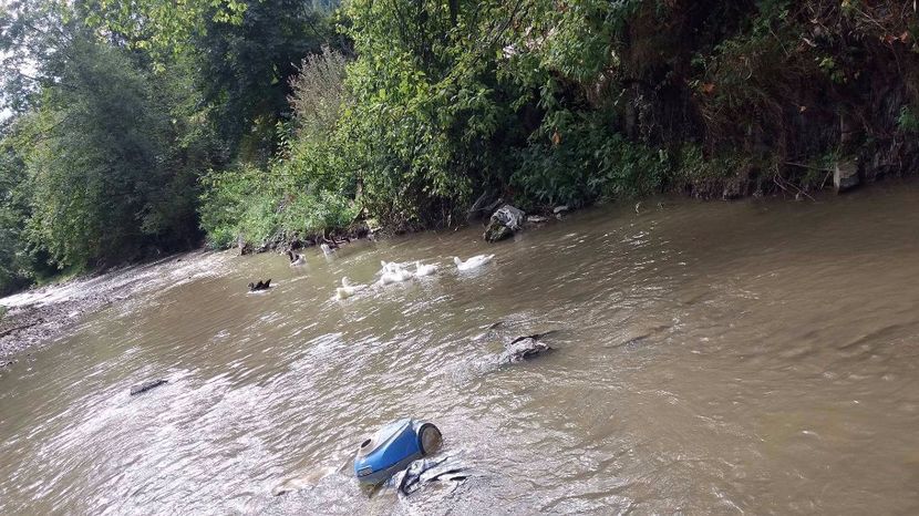 21363515_356813178074498_590972903_o - ARHIVA Rate mute - lesesti