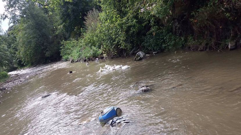 21389374_356813154741167_1128451639_o - ARHIVA Rate mute - lesesti