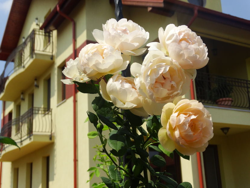  - Wollerton Old Hall