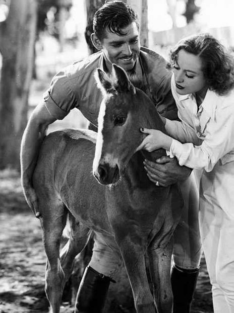 joan cr (2) - Joan Crawford