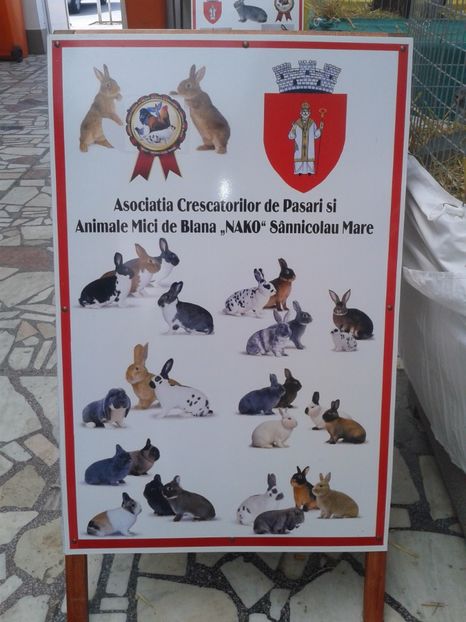 Fotografie0088 - 22---targ sannicolau mare 02 09 2017