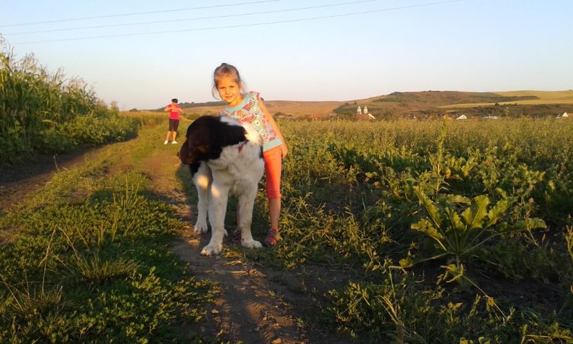  - 1-C R B Codi-Bura-Ozana-Guta si fetele