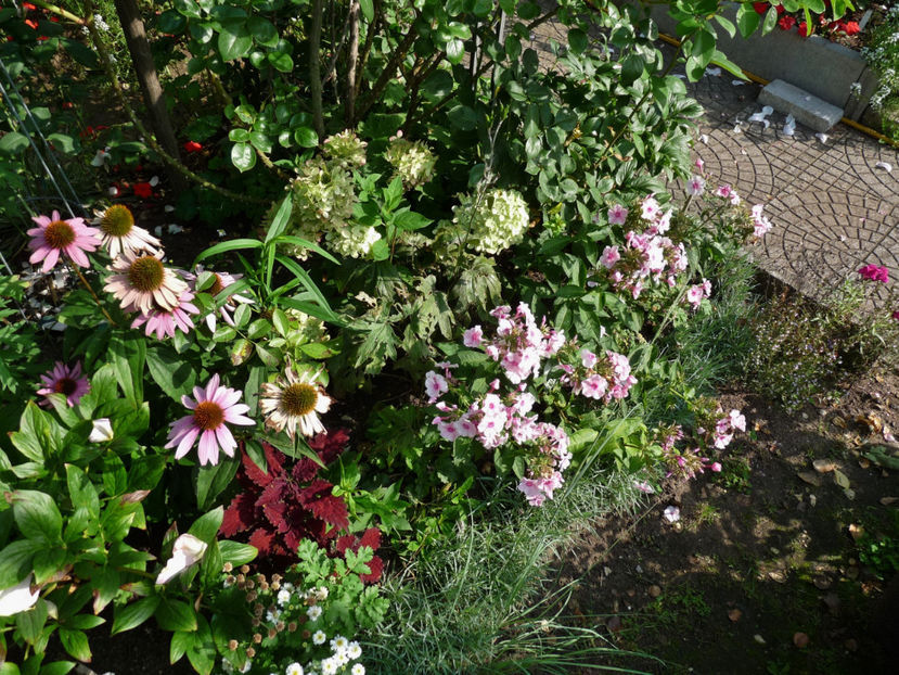  - 2017 - 03 - Toamna